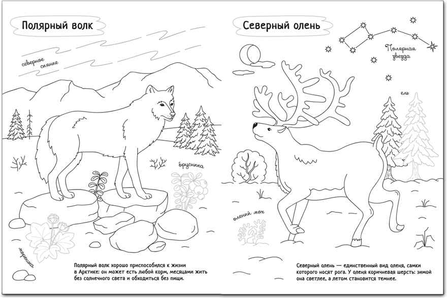 new Раскрась Россию. Набор из 2 книг., производитель МОЗАИКА kids , ISBN 978-5-43151-765-5, № 3