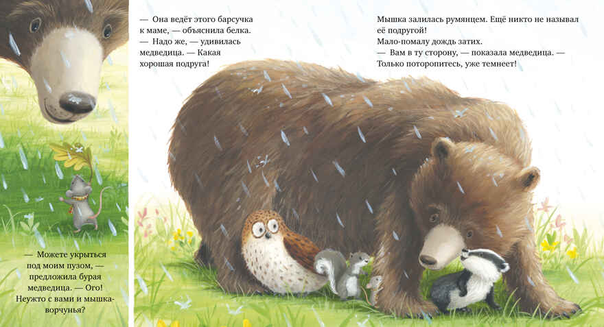 Книжки-картинки (мягкая обложка). Я не ворчунья!/Смолмен С., производитель Клевер (Clever) , ISBN 978-5-00211-641-6, № 3