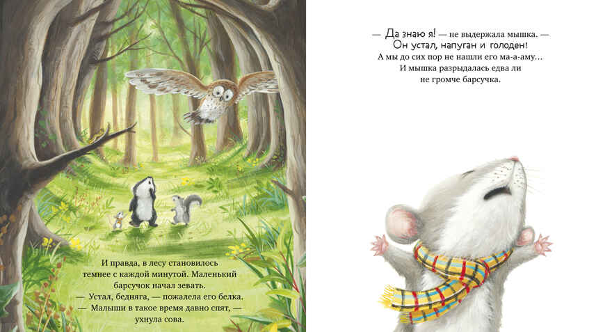 Книжки-картинки (мягкая обложка). Я не ворчунья!/Смолмен С., производитель Клевер (Clever) , ISBN 978-5-00211-641-6, № 4