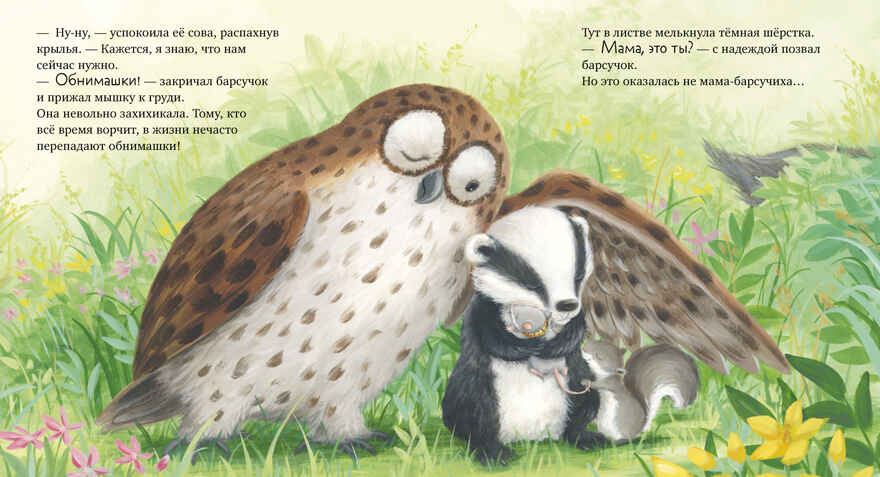 Книжки-картинки (мягкая обложка). Я не ворчунья!/Смолмен С., производитель Клевер (Clever) , ISBN 978-5-00211-641-6, № 5
