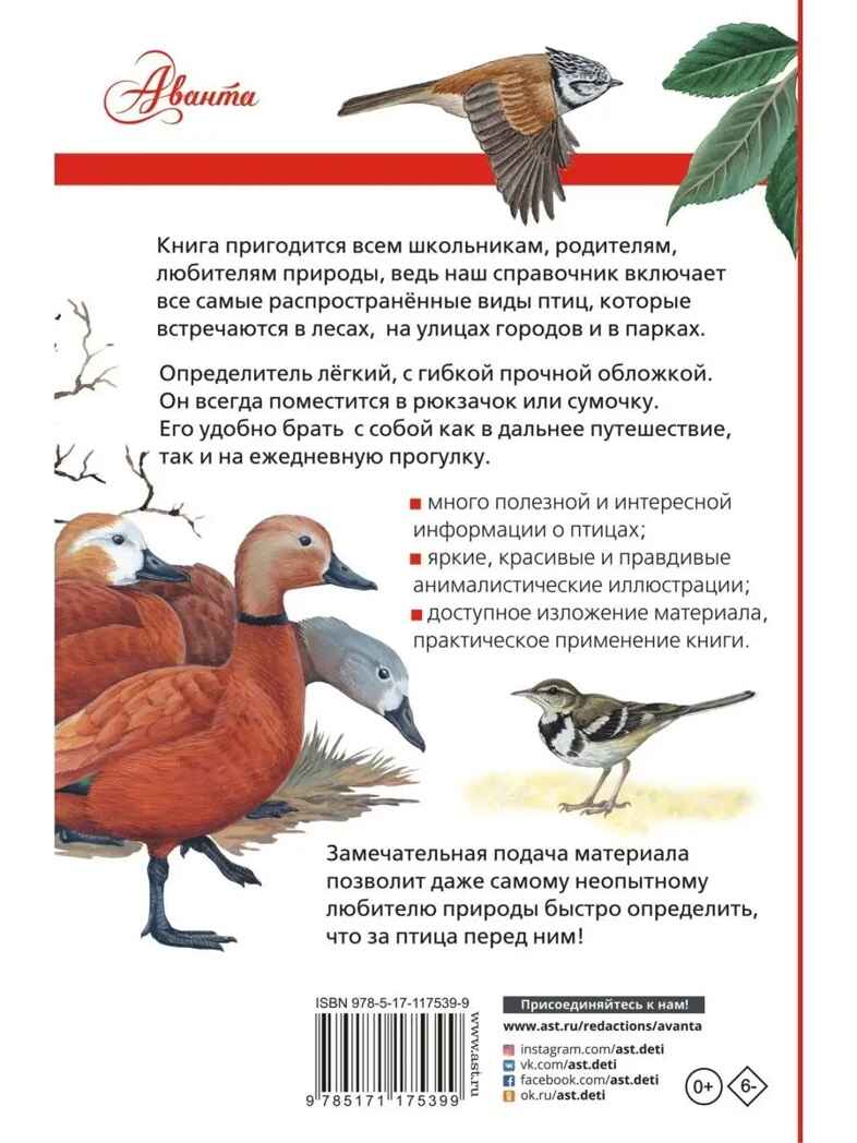 Птицы России. Мосалов А.А. Лучший определитель, производитель АСТ , ISBN 978-5-17117-539-9, № 9