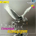 CD. Птичий концерт., производитель Би Смарт , ISBN 460-7-05837-643-7, № 1
