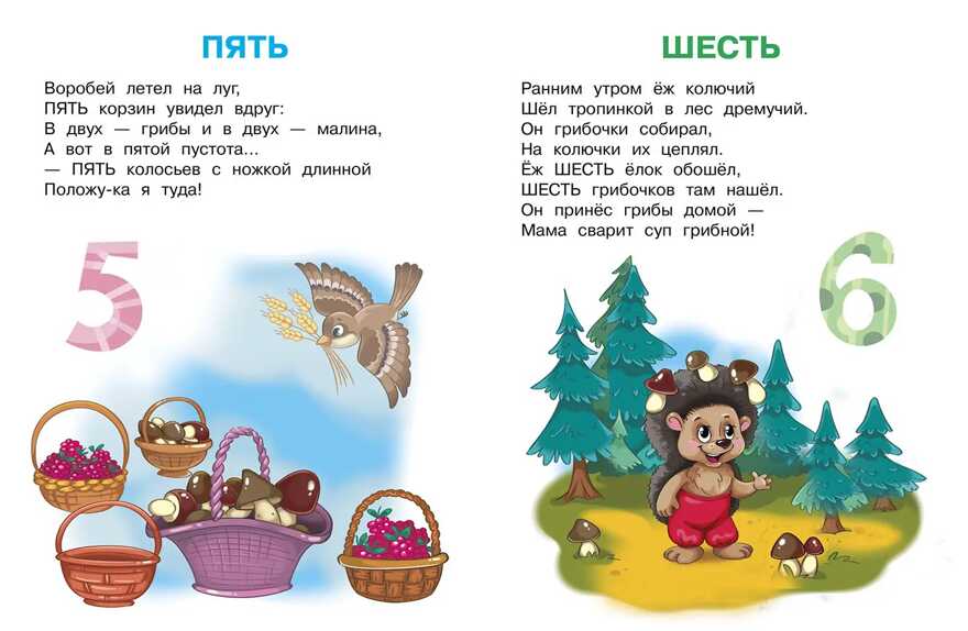 Шестакова. Цифры и счёт, производитель Детская литература, ISBN 978-5-08006-651-1, № 3