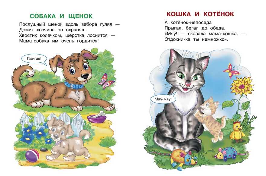 Шестакова. Домашние животные, производитель Детская литература, ISBN 978-5-08006-649-8, № 3
