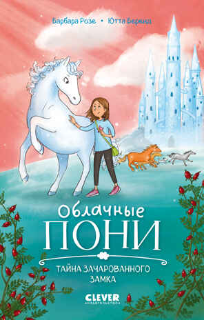 Облачные пони. Тайна зачарованного замка, производитель Клевер (Clever) , ISBN 978-5-00252-296-5№ 1