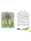 Это что за птица? Сказки. Сутеев В. Г., производитель АСТ , ISBN 978-5-17162-972-4, № 5