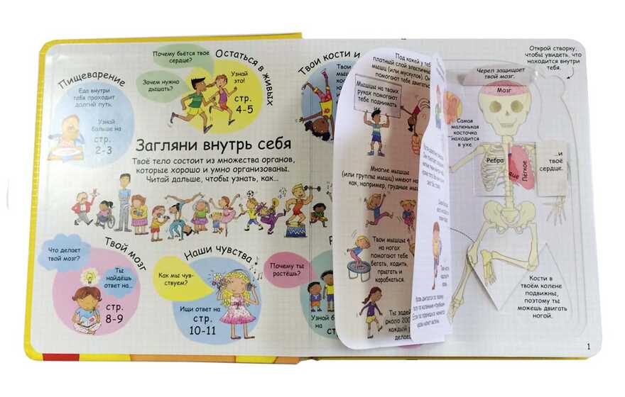 Секреты человека. Волшебные створки, производитель Робинс , ISBN 978-5-43660-113-7, № 7