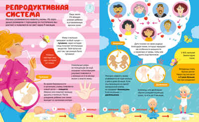 Энциклопедии. 100 удивительных фактов о теле человека, производитель Клевер (Clever) , ISBN 978-5-00211-711-6№ 6