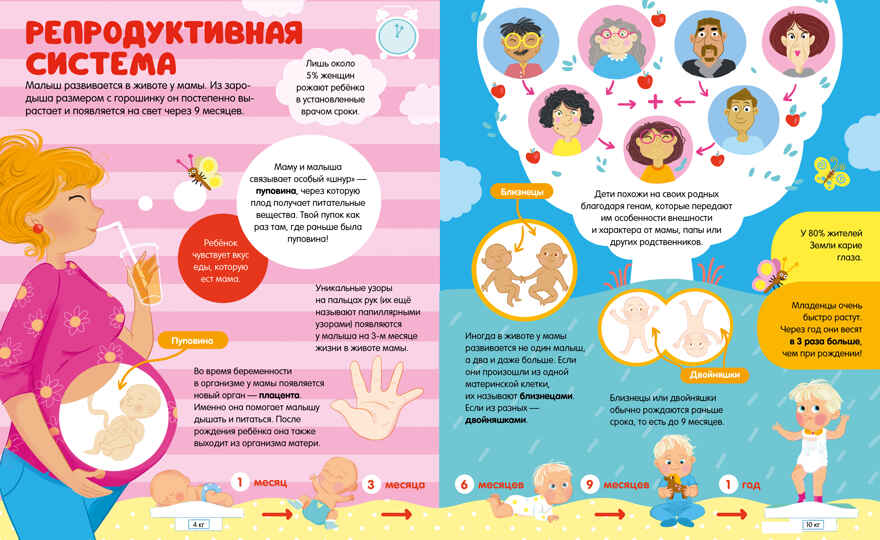 Энциклопедии. 100 удивительных фактов о теле человека, производитель Клевер (Clever) , ISBN 978-5-00211-711-6, № 6