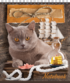 Блокнот А6 Кот и пес 40 л. в ассортименте, арт. 98677, производитель ФАРМ, ISBN 463-0-01769-867-7, № 3