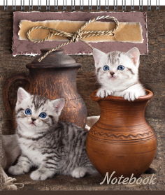 Блокнот А6 Кот и пес 40 л. в ассортименте, арт. 98677, производитель ФАРМ, ISBN 463-0-01769-867-7, № 4