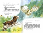 Рассказы о животных. М. Пришвин. Внеклассное чтение, производитель Проф-Пресс , ISBN 978-5-37829-543-2, № 5