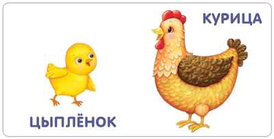 Книжки - картонки. Малыши и мамы. Моя самая первая книжка, производитель Робинс , ISBN 978-5-43660-554-8№ 3