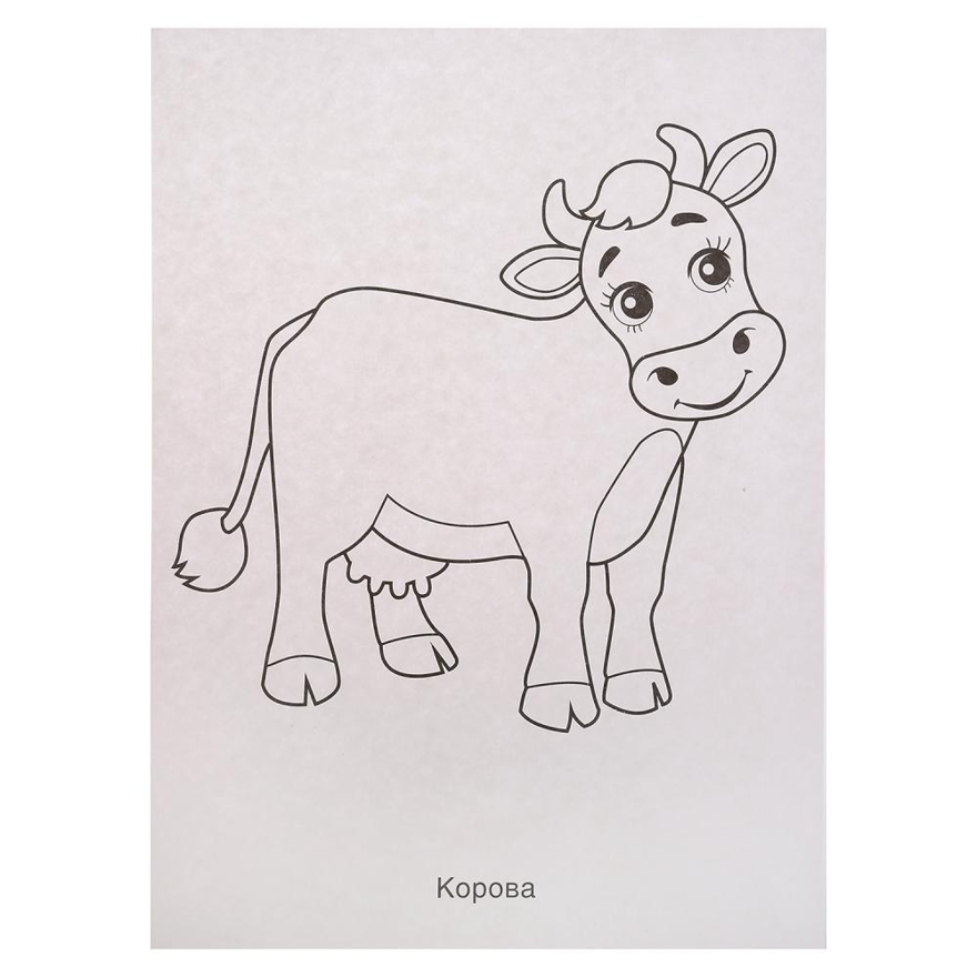 Домашние животные. Раскраски в папке, производитель Умка, ISBN 978-5-50602-312-8, № 4
