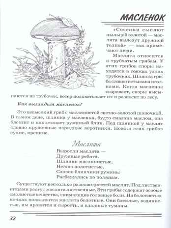 Грибы. Какие они?, производитель Гном , ISBN 978-5-00160-580-5 № 2