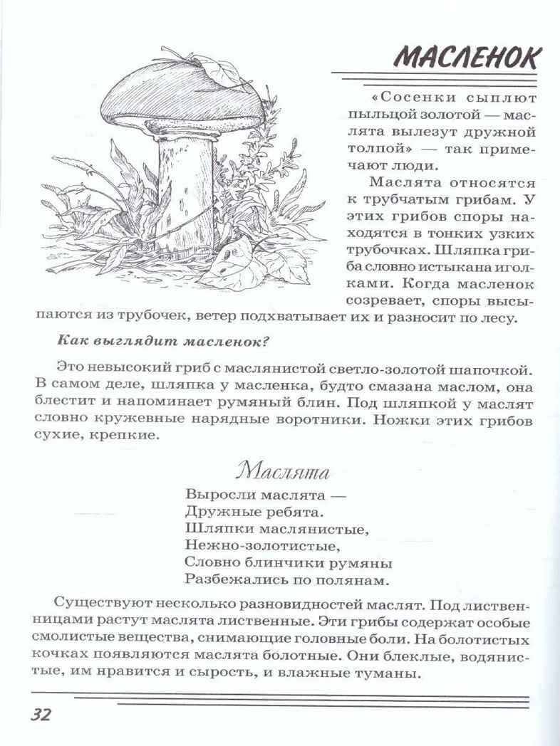 Грибы. Какие они?, производитель Гном , ISBN 978-5-00160-580-5, № 2