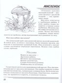 Грибы. Какие они?, производитель Гном , ISBN 978-5-00160-580-5, № 2