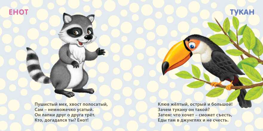 Книжки - картонки. Удивительные животные. Стихи и картинки, производитель Робинс , ISBN 978-5-43660-437-4, № 2