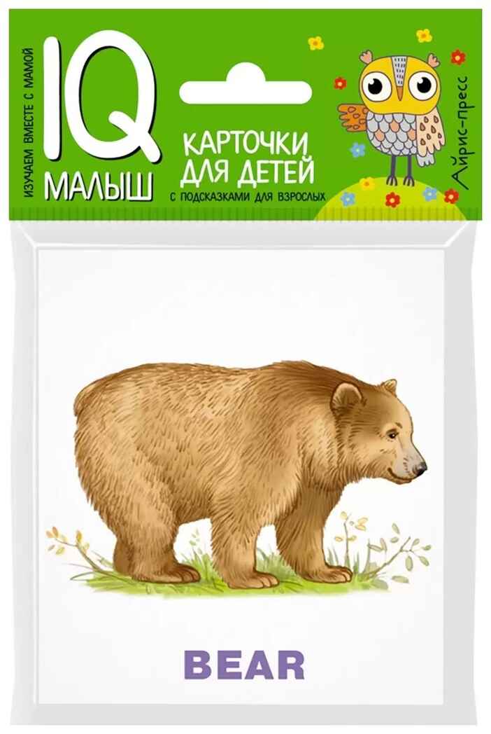 Умный малыш. ENGLISH. Зоопарк. IQ малыш, производитель Айрис-пресс , ISBN 978-5-81126-611-1, № 1