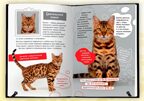 Кошки. Большие секреты маленьких хищников., производитель Проф-Пресс , ISBN 978-5-37835-931-8, № 2