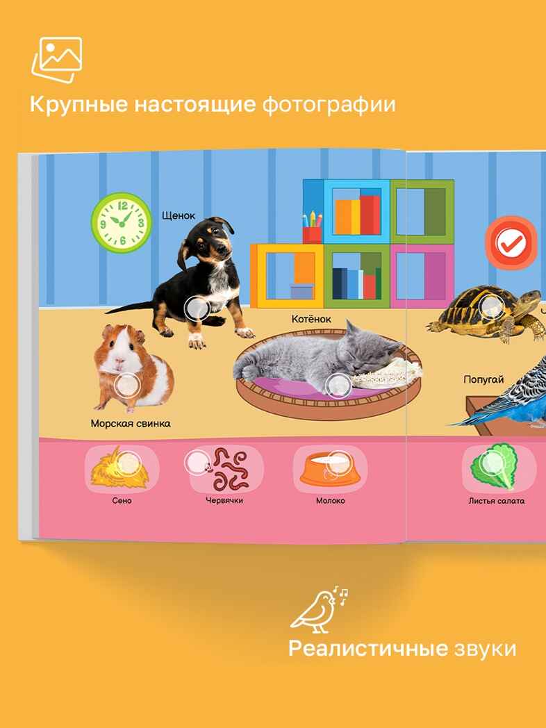 Маленькая Нажималка Всё о животных, арт. FD152, производитель BertToys, ISBN 978-5-90752-748-5, № 3