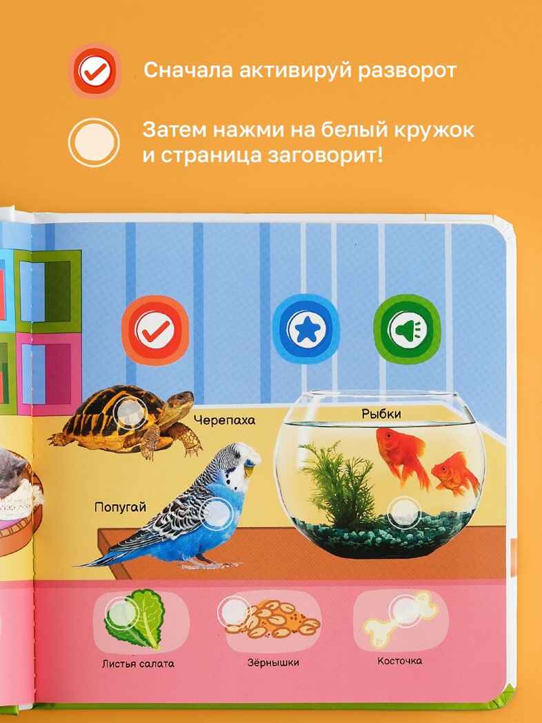 Маленькая Нажималка Всё о животных, арт. FD152, производитель BertToys, ISBN 978-5-90752-748-5, № 4