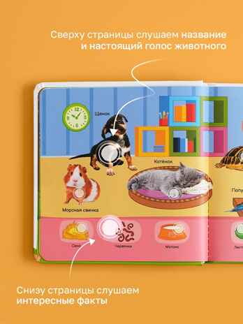 Маленькая Нажималка Всё о животных, арт. FD152, производитель BertToys, ISBN 978-5-90752-748-5№ 6