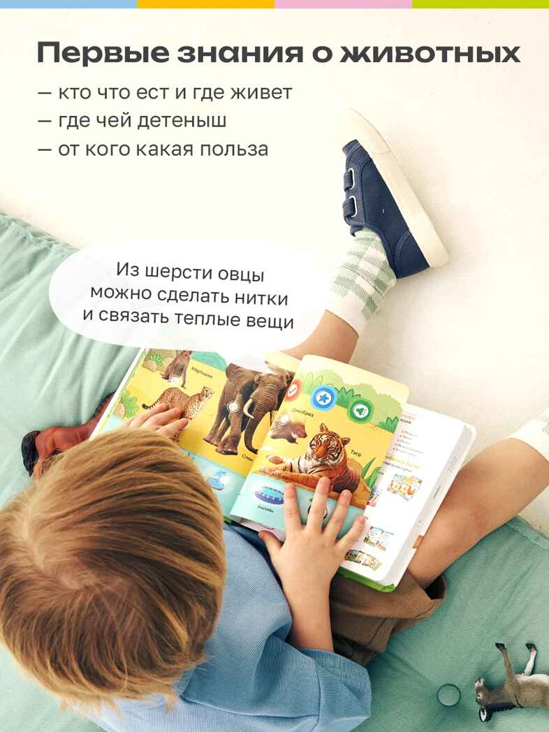 Маленькая Нажималка Всё о животных, арт. FD152, производитель BertToys, ISBN 978-5-90752-748-5, № 7
