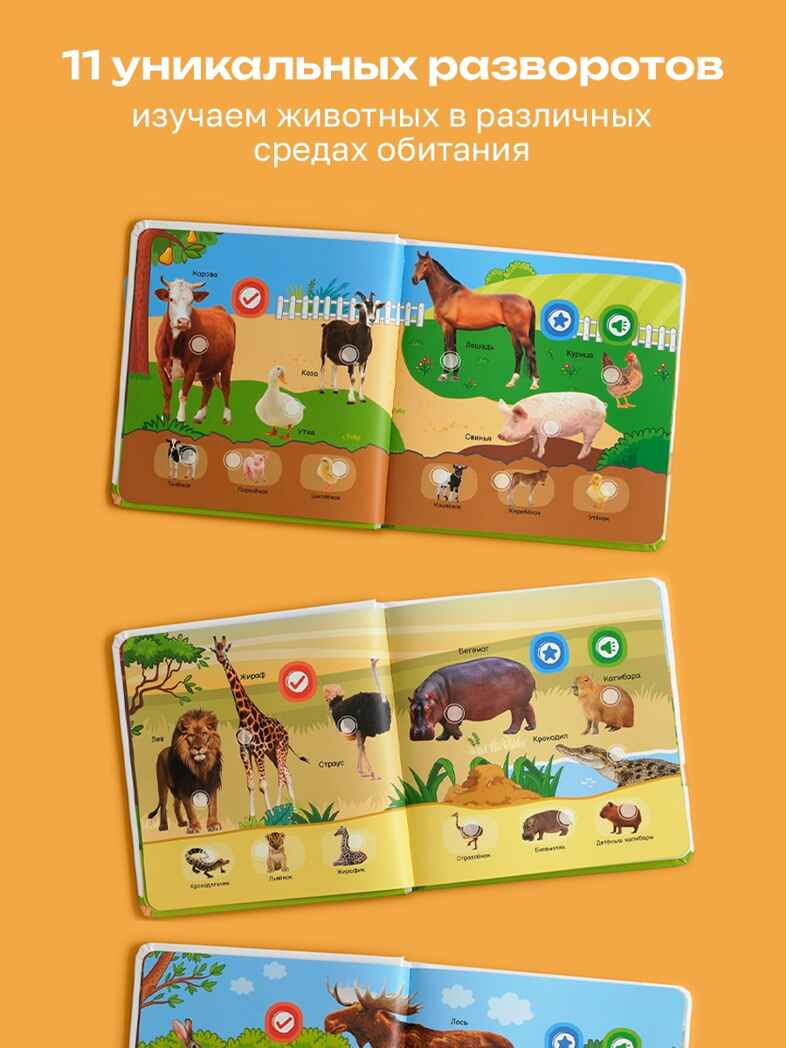Маленькая Нажималка Всё о животных, арт. FD152, производитель BertToys, ISBN 978-5-90752-748-5, № 9