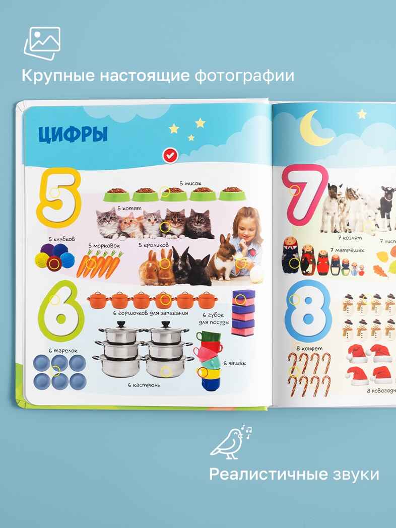 Большая Нажималка Первые знания, арт. FD150, производитель BertToys, ISBN 978-5-90752-746-1, № 3