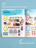 Большая Нажималка Первые знания, арт. FD150, производитель BertToys, ISBN 978-5-90752-746-1, № 3
