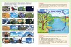 Окружающий мир: Неживая природа.  Дидактический материал с заданиями и вопросами, производитель Школьная Пресса , ISBN 978-5-00013-155-8, № 2