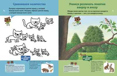 Мои первые открытия. 3-4 года. Знакомимся с математикой. Руссо Ф., Шове Ю., производитель Клевер (Clever) , ISBN 978-5-90682-407-3№ 2