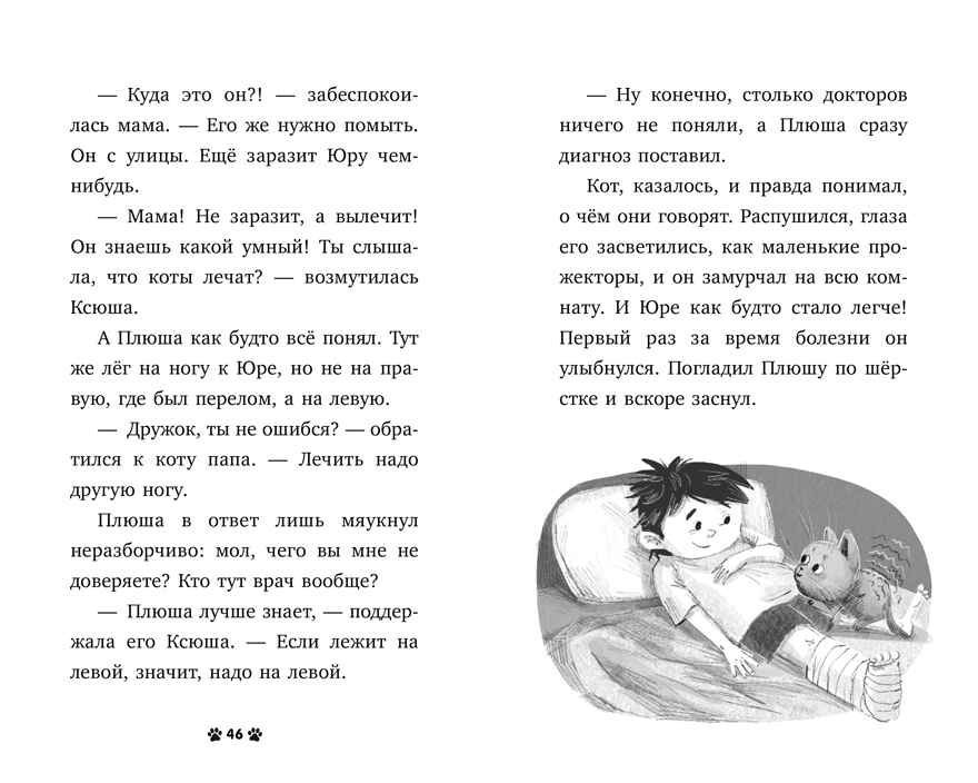 Пушистые истории. Котенок Плюша ищет семью/Ульева Е., производитель Клевер (Clever) , ISBN 978-5-00252-081-7, № 3