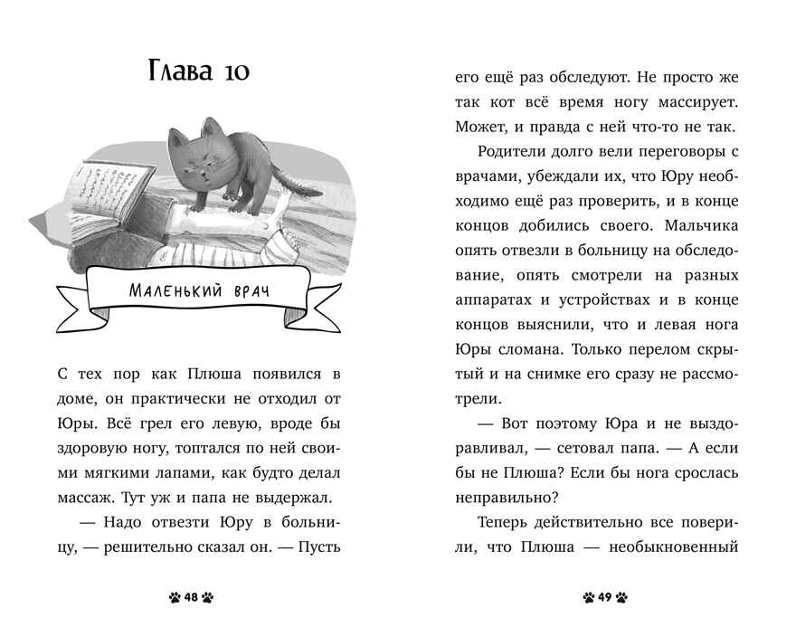 Пушистые истории. Котенок Плюша ищет семью/Ульева Е., производитель Клевер (Clever) , ISBN 978-5-00252-081-7, № 4
