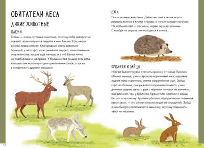 Поход в лес. 150 секретов юного туриста. Секреты юного туриста, производитель Клевер (Clever) , ISBN 978-5-00115-969-8№ 2