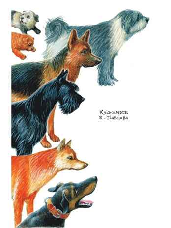 Как правильно любить собак.Рассказы, производитель АСТ , ISBN 978-5-17155-466-8 № 4