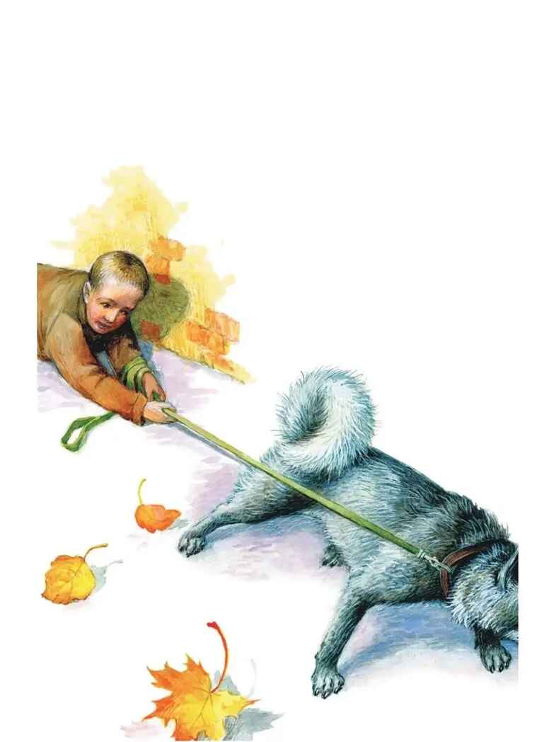 Как правильно любить собак.Рассказы, производитель АСТ , ISBN 978-5-17155-466-8, № 6