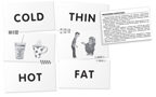 Англ. Толстый кот (Fat Cat). Читаем сочетания слов. Level 5.  Набор карточек., производитель Айрис-пресс , ISBN 462-7-17636-751-3, № 4