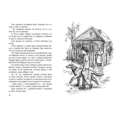Девочка, мальчик, собака: повесть. Воскобойников В.М. Читаем всей семьей, производитель ЭНАС-КНИГА , ISBN 978-5-91921-717-6№ 3