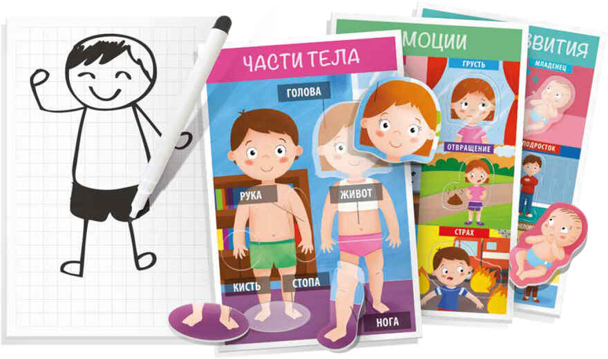 Настольная игра для детей с 3 лет Монтессори &quot;Как устроен человек&quot;, арт. RU29181, производитель Headu, ISBN 805-9-59142-918-1, № 1