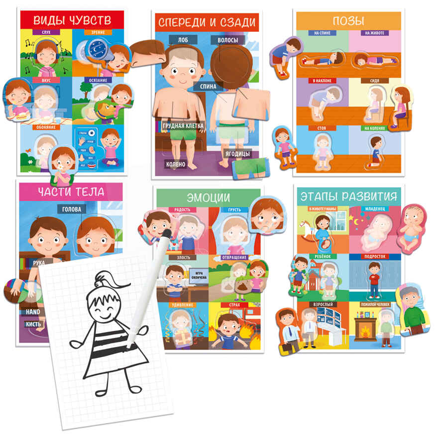 Настольная игра для детей с 3 лет Монтессори &quot;Как устроен человек&quot;, арт. RU29181, производитель Headu, ISBN 805-9-59142-918-1, № 5