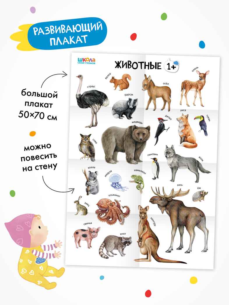 Годовой базовый курс. Комплект 1+ (Школа Семи Гномов. Базовый курс), 12 книг + развивающие материалы, производитель МОЗАИКА kids , ISBN 978-5-43154-054-7, № 15