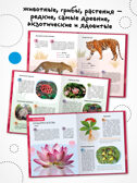Детская энциклопедия. Набор их 2-х книг, производитель МОЗАИКА kids , ISBN 978-5-43154-491-0, № 2