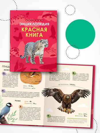 Детская энциклопедия. Набор их 2-х книг, производитель МОЗАИКА kids , ISBN 978-5-43154-491-0№ 3