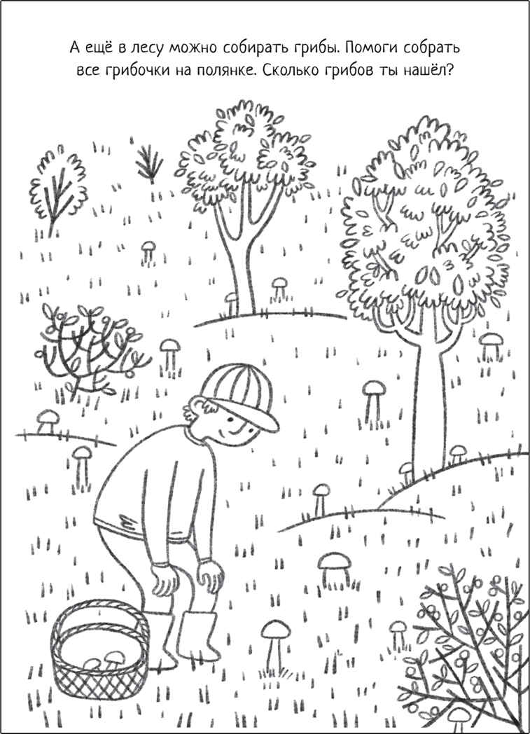 В лесу (Познавательные раскраски), производитель МОЗАИКА kids , ISBN 978-5-43152-350-2, № 2
