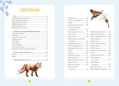 Лесные животные, производитель Махаон , ISBN 978-5-38924-683-6№ 2