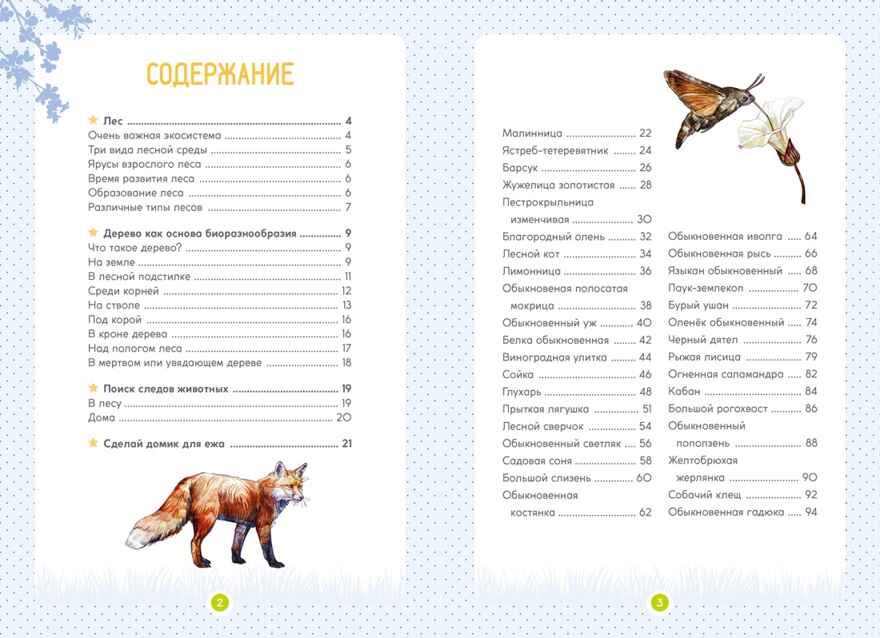 Лесные животные, производитель Махаон , ISBN 978-5-38924-683-6, № 2