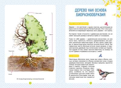 Лесные животные, производитель Махаон , ISBN 978-5-38924-683-6№ 3