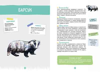 Лесные животные, производитель Махаон , ISBN 978-5-38924-683-6№ 5